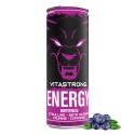 VITASTRONG ENERGY X1 MARJA