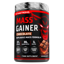 MASSALISÄYS