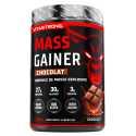 MASSALISÄYS