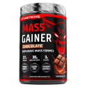MASSALISÄYS