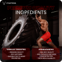 TESTOBOOSTER