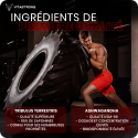 TESTOBOOSTER