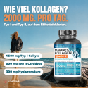 MERIKOLLAGEENI